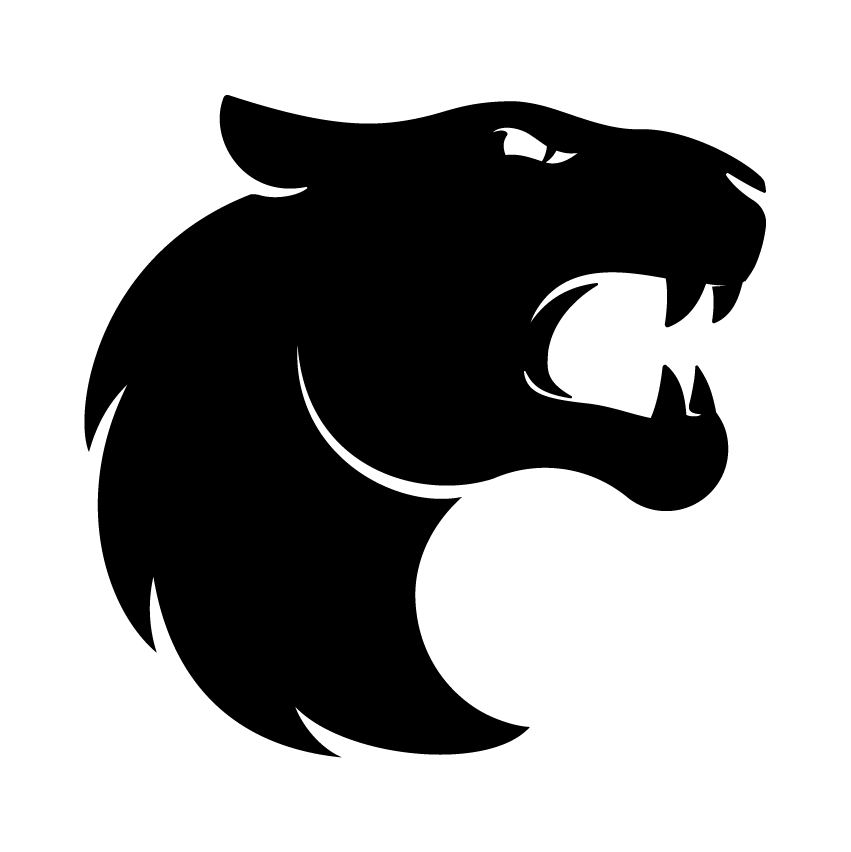 icon for FURIA vs Team Falcons