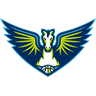 Dallas Wings