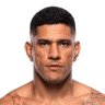 Alex Pereira