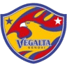 veg icon