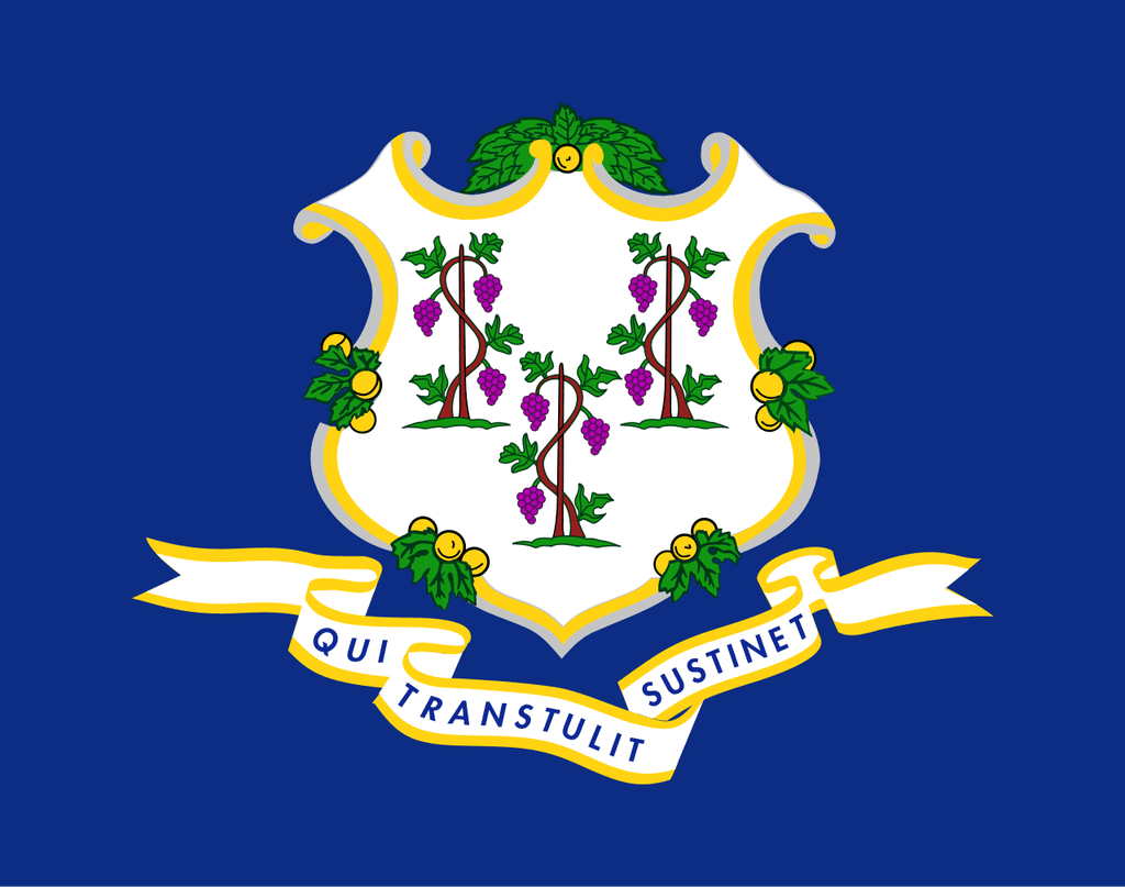 CT-01 Democratic Primary Winner