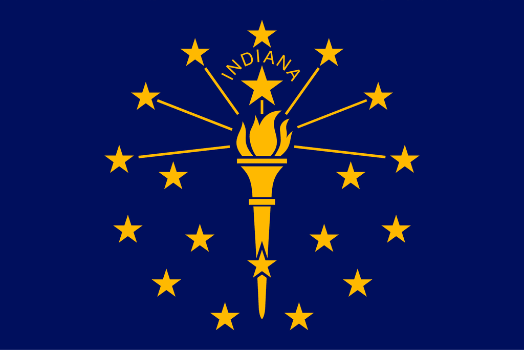 IN-01 House Election Winner