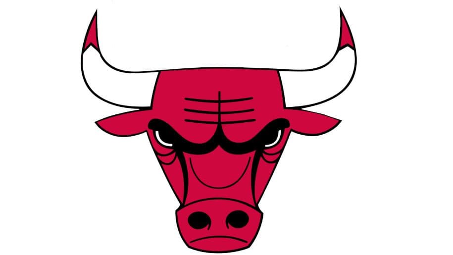NBA: Next Bulls Head Coach