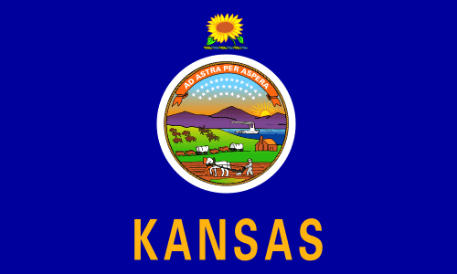 KS-03 House Election Winner card icon
