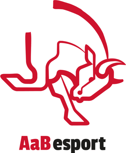 AaB Bulls